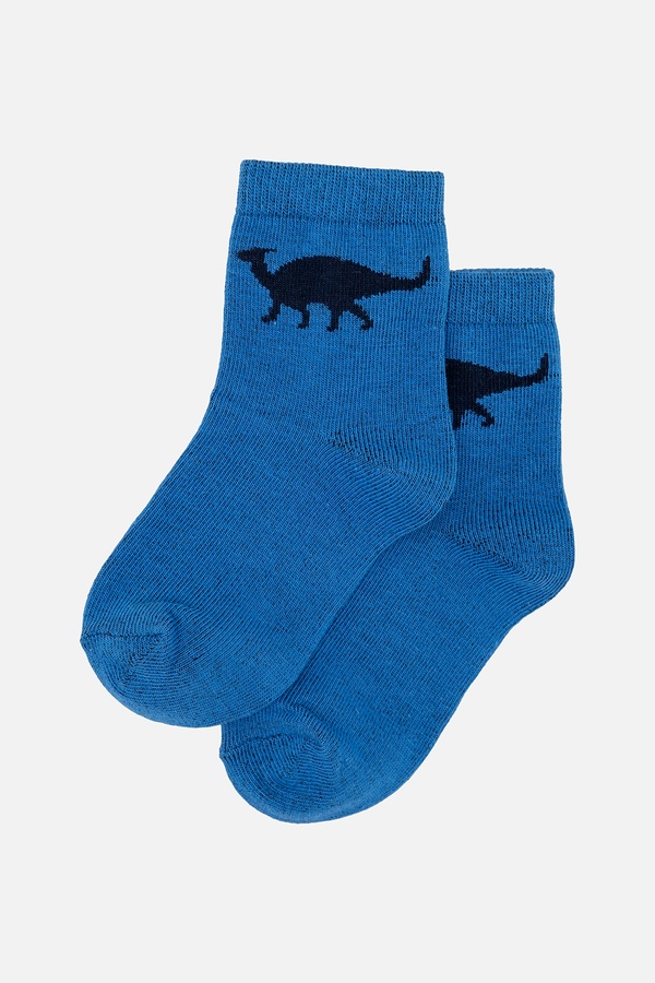 Шкарпетки для хлопчика 20-21 колір синій ЦБ-00245342 SKT000981312 фото