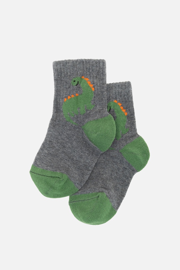 Шкарпетки для хлопчика 20-21 колір сірий ЦБ-00254932 SKT001006220 фото