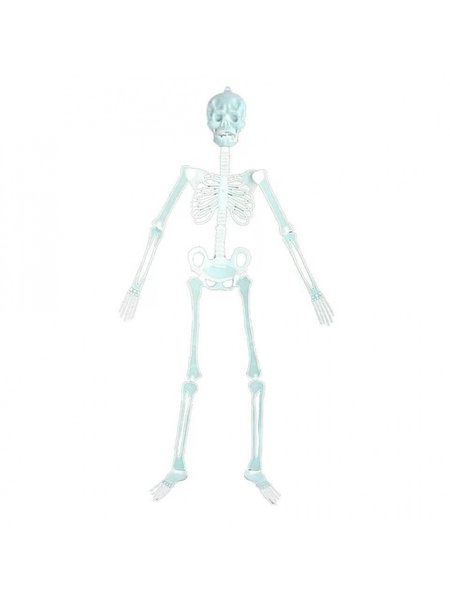 Декор на Хелловін - "Скелет" колір білий ЦБ-00229756 SKT000933143 фото