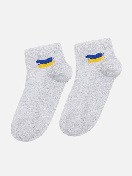 Шкарпетки для хлопчика 21-22 колір сірий ЦБ-00219851 SKT000908428 фото