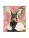 Зошит в лінійку 12 аркушів Cute forest animal колір різнокольоровий ЦБ-00222594 SKT000915635 фото 5