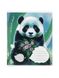 Зошит в лінійку 12 аркушів Cute forest animal колір різнокольоровий ЦБ-00222594 SKT000915635 фото 4
