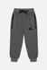 Спортивные брюки для мальчика 110 цвет серый ЦБ-00210198 SKT000889125 фото 1