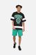 Мужские спортивные шорты 44 цвет зеленый ЦБ-00245607 SKT000982184 фото 2
