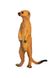Игрушка фигурка животного "Сафари" Сурикат цвет разноцветный ЦБ-00237350 SKT000953981 фото 3