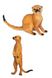 Іграшка фігурка тварини "Сафарі" Сурікат колір різнокольоровий ЦБ-00237350 SKT000953981 фото 1
