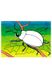 Малювалка для найменших - Кольори-друзі колір різнокольоровий ЦБ-00240577 SKT000960573 фото 3