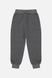 Спортивні штани для хлопчика 110 колір сірий ЦБ-00210198 SKT000889125 фото 3
