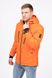 Куртка коротка чоловіча колір помаранчевий ЦБ-00187786 SKT000836266 фото 1