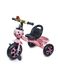 Трехколесный велосипед - Scale Sports цвет розовый ЦБ-00147259 SKT000507258 фото 1