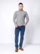 Чоловічі джинси регуляр 56 колір синій ЦБ-00237516 SKT000954212 фото 1