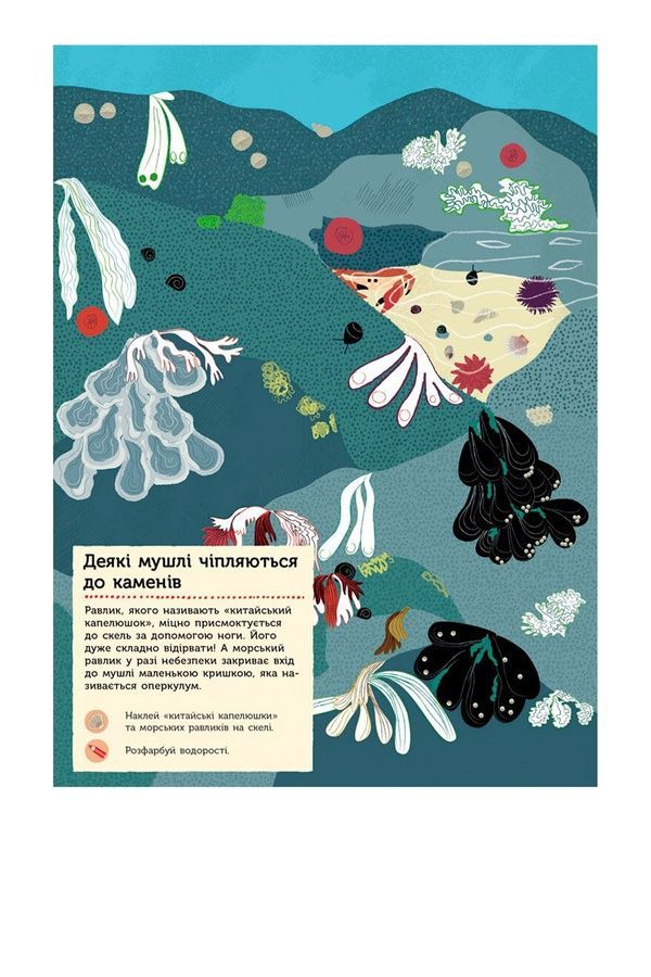 Моя книга природы: На берегу моря Видавництво РАНОК С849006У ЦБ-00240824 фото
