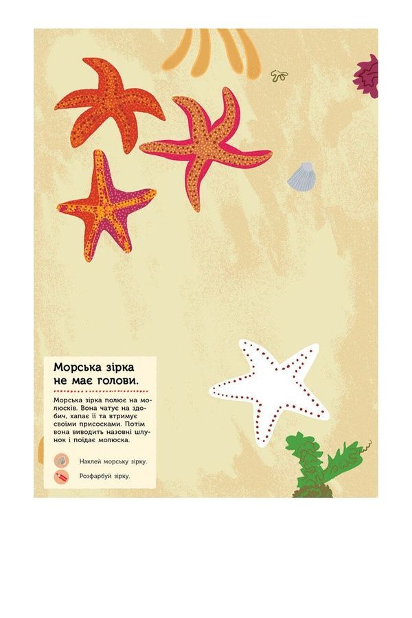 Моя книга природы: На берегу моря Видавництво РАНОК С849006У ЦБ-00240824 фото
