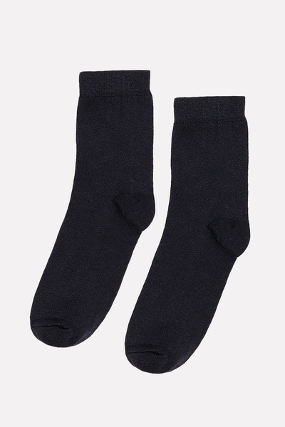 Чоловічі шкарпетки 40-42 колір синій ЦБ-00200685 SKT000869002 фото