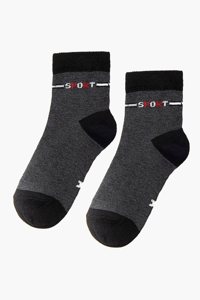 Шкарпетки на хлопчика 35-38 колір темно-сірий ЦБ-00187819 SKT000836359 фото