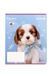 Школьная тетрадь Kite на 12 листов KITE R25-232 ЦБ-00281151 фото 7