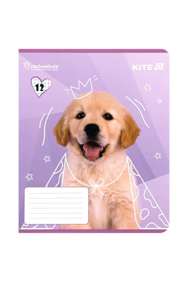 Школьная тетрадь Kite на 12 листов KITE R25-232 ЦБ-00281151 фото