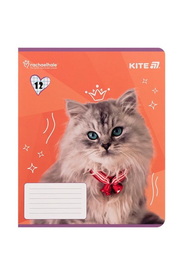 Школьная тетрадь Kite на 12 листов KITE R25-232 ЦБ-00281151 фото