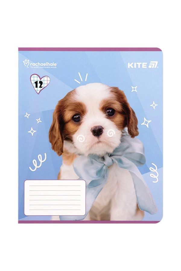 Школьная тетрадь Kite на 12 листов KITE R25-232 ЦБ-00281151 фото