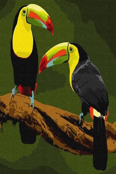 Набор для росписи "Экзотические птицы" цвет разноцветный ЦБ-00203745 SKT000874631 фото