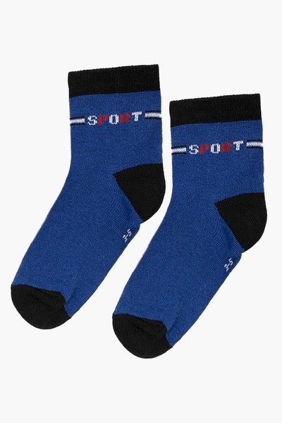 Шкарпетки на хлопчика 23-26 колір синій ЦБ-00187816 SKT000836350 фото