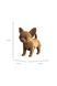 Картонний конструктор "Cartonic 3D Puzzle CHIHUAHUA PUPPY" Cartonic CARTMNCHIHU ЦБ-00278678 фото 5