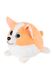 М'яка іграшка – собака Коргі колір різнокольоровий ЦБ-00187851 SKT000836396 фото 2