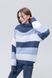 Женский свитер 46 цвет голубой ЦБ-00233313 SKT000941227 фото 1