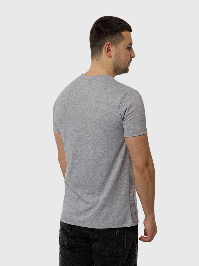 Мужская футболка регуляр 44 цвет серый ЦБ-00216067 SKT000899914 фото