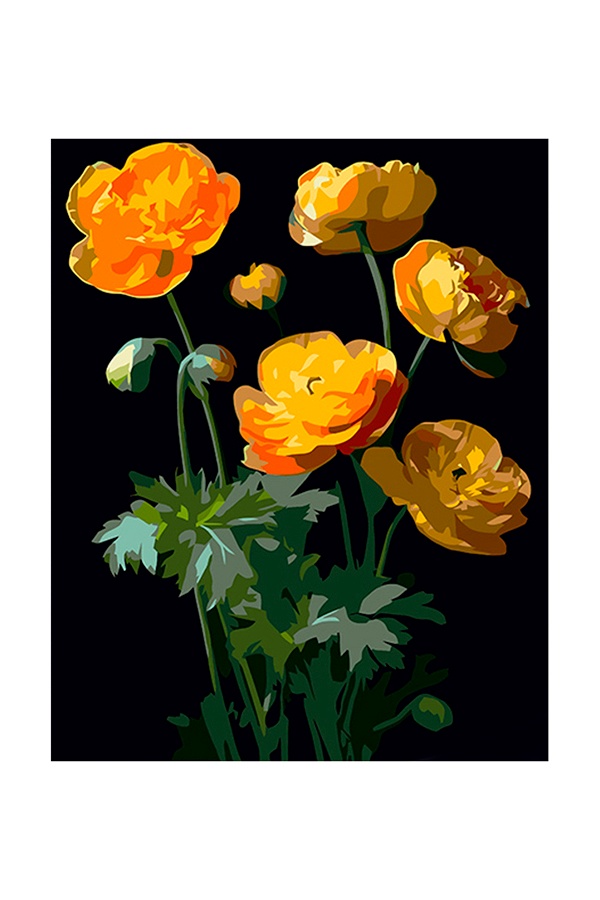 Картина за номерами Strateg - Жовті квітки на чорному тлі колір різнокольоровий ЦБ-00253061 SKT001000924 фото