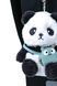 Рюкзак ортопедический школьный Kite Education Panda Love KITE K26-584M-2 ЦБ-00297750 фото 3