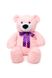 Мягкая игрушка Тедди цвет разноцветный 00-00035488 SKT000035672 фото 3