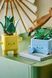 Конструктор LEGO Botanicals Щасливі рослини 10349 ЦБ-00279938 фото 4