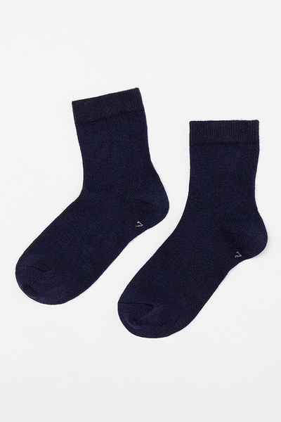 Шкарпетки на хлопчика 38-40 колір темно-синій ЦБ-00146859 SKT000506594 фото