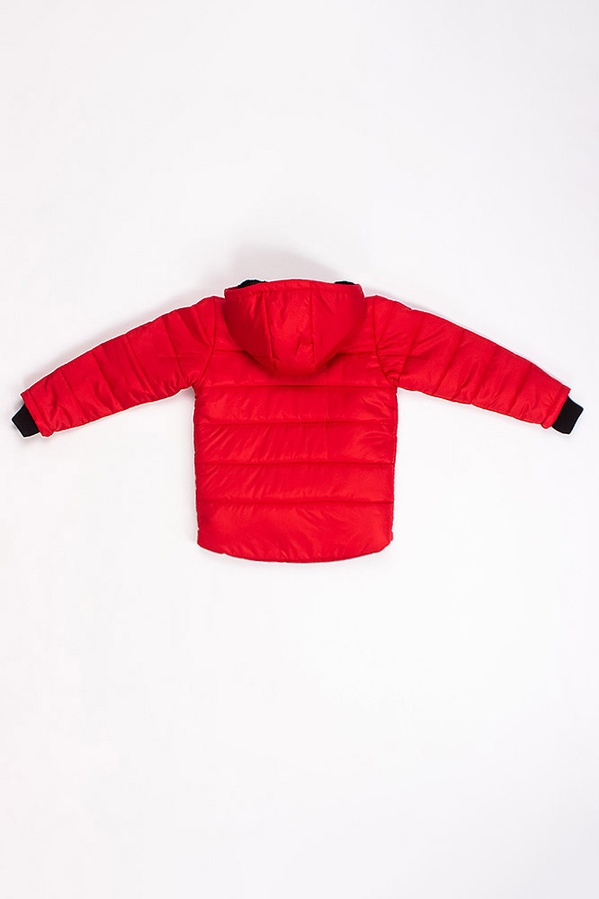 Куртка коротка на хлопчика колір червоний ЦБ-00177300 SKT000591429 фото