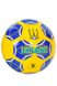 Футбольний м'яч колір різнокольоровий ЦБ-00231505 SKT000936743 фото 2