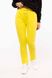 Женские спортивные штаны 42 цвет желтый ЦБ-00190134 SKT000842038 фото 1