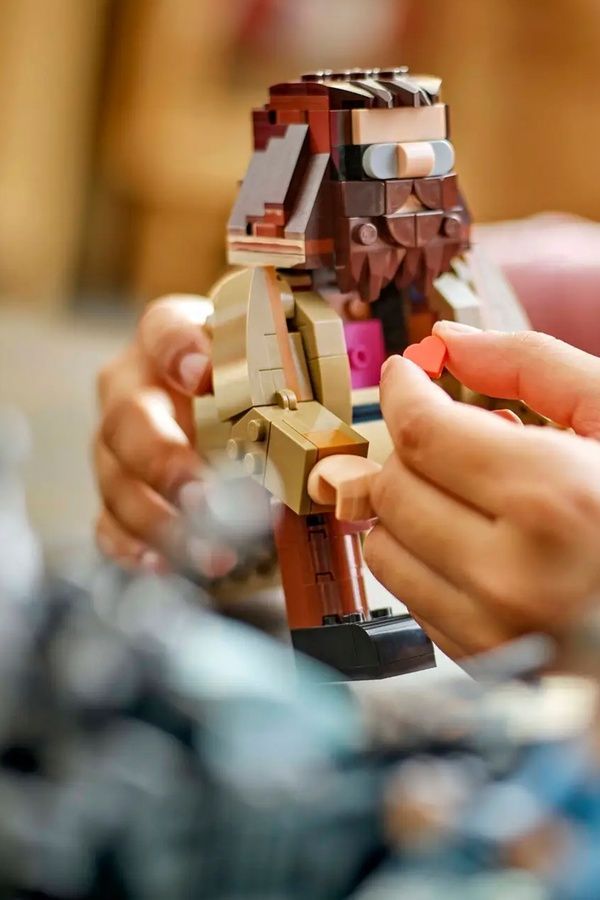 Конструктор LEGO Harry Potter - Поїздка Геґріда й Гаррі на мотоциклі, 617 деталей 76443 ЦБ-00285663 фото