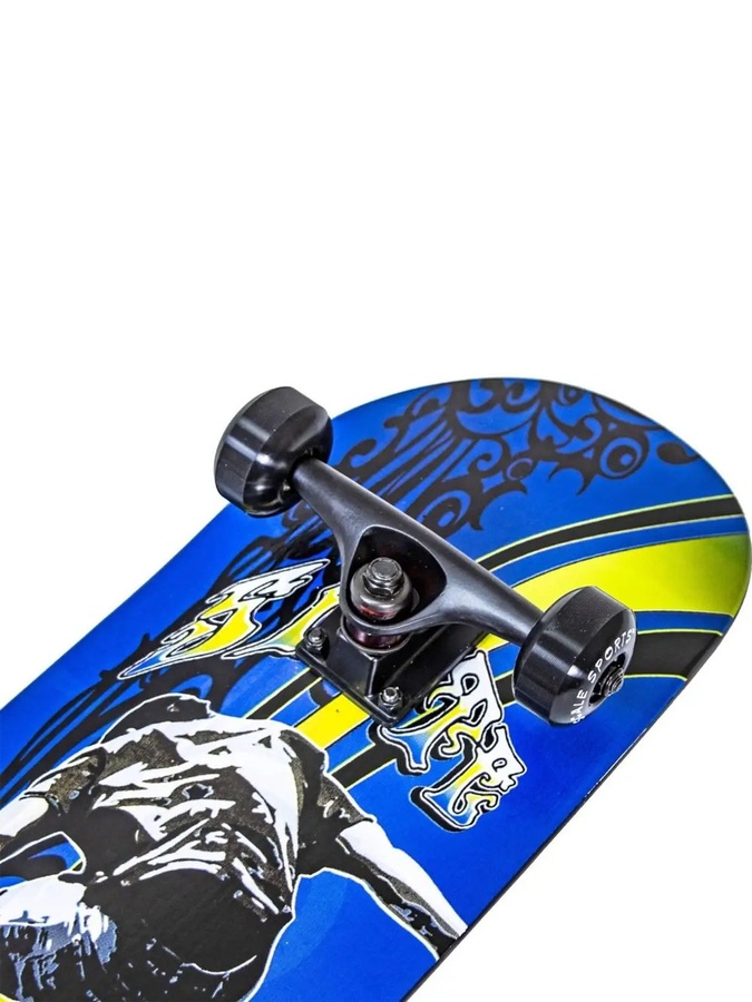 Скейтборд "DISPLAY KING" колір різнокольоровий ЦБ-00170815 SKT000571563 фото