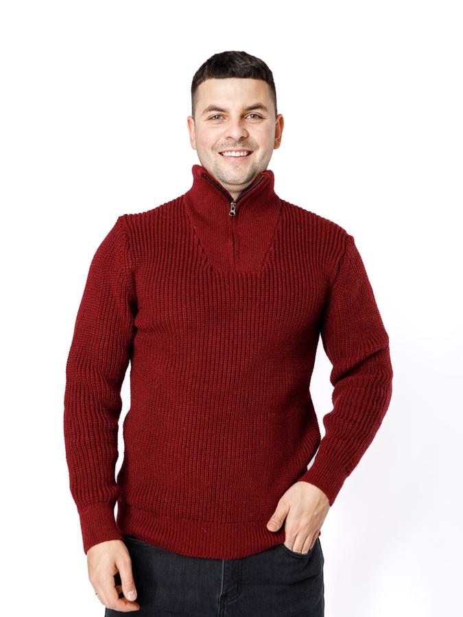 Чоловічий светр 46 колір бордовий ЦБ-00233233 SKT000941032 фото