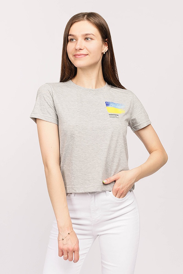 Жіноча футболка 42 колір сірий ЦБ-00193564 SKT000852102 фото