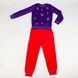 Пижама теплая на девочку 164 цвет фиолетовый ЦБ-00144141 SKT000500571 фото 3