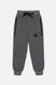 Спортивные брюки для мальчика 164 цвет серый ЦБ-00210201 SKT000889143 фото 1