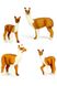Набір фігурок тварини "Сафарі" Альпака та малюк-альпака колір різнокольоровий ЦБ-00237315 SKT000953946 фото 1