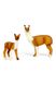 Набір фігурок тварини "Сафарі" Альпака та малюк-альпака колір різнокольоровий ЦБ-00237315 SKT000953946 фото 2