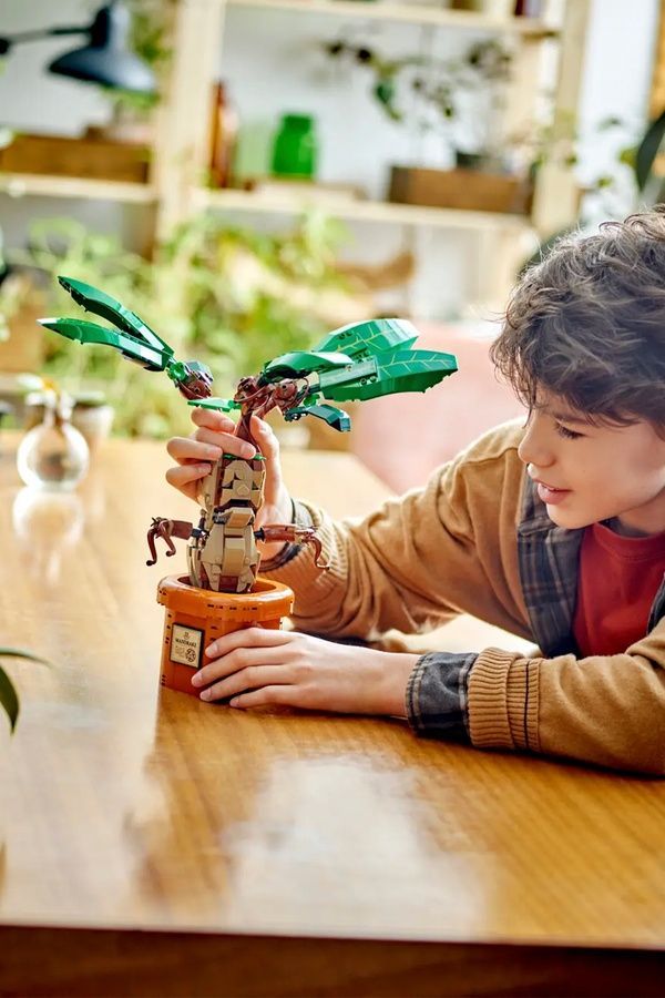Конструктор LEGO Harry Potter - Корінь мандрагори, 579 деталей 76433 ЦБ-00285705 фото