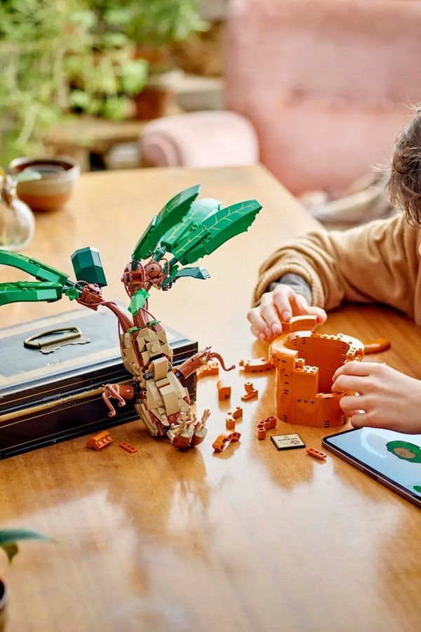 Конструктор LEGO Harry Potter - Корінь мандрагори, 579 деталей 76433 ЦБ-00285705 фото