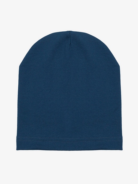 Демісезонна шапка для хлопчика 50-52 колір синій ЦБ-00216983 SKT000901858 фото