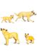 Набір фігурок тварини "Сафарі" Вовк та вовченя. колір різнокольоровий ЦБ-00237316 SKT000953947 фото 1
