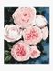 Картина за номерами "Бутони пишних троянд" колір різнокольоровий ЦБ-00234084 SKT000943318 фото 1